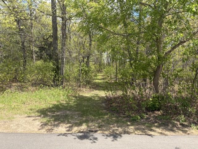 24175 White Pine Drive Property Photo 50