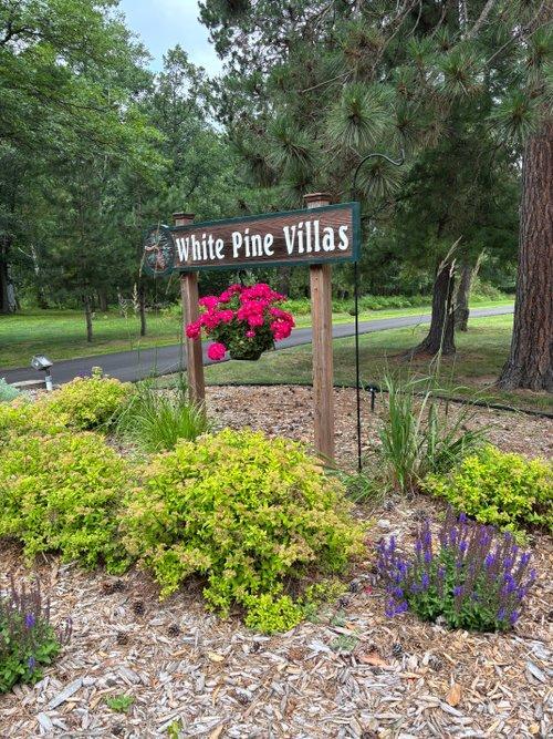 24175 White Pine Drive Property Photo 51