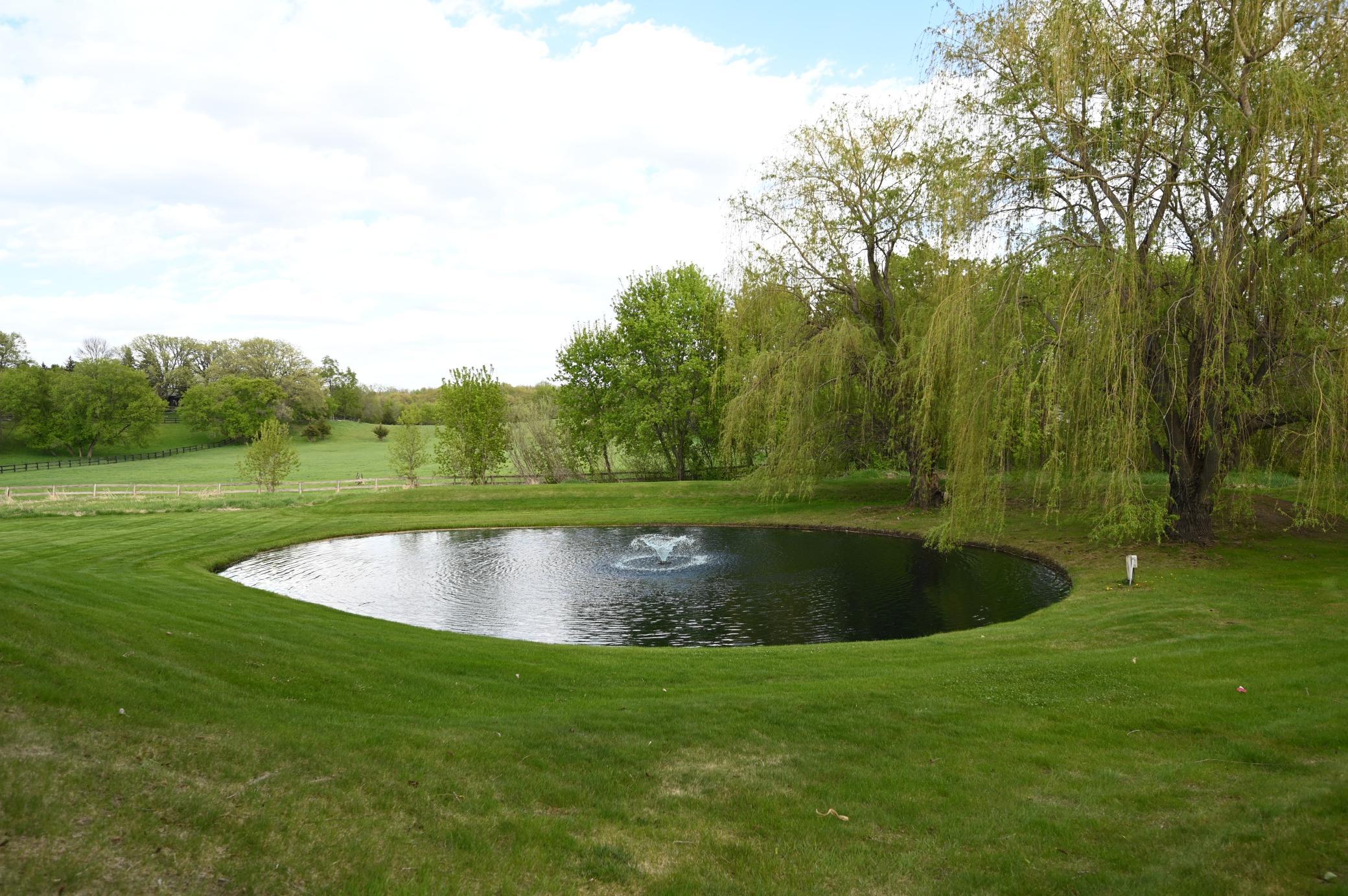 20247 Lake Ridge Drive Property Photo 6