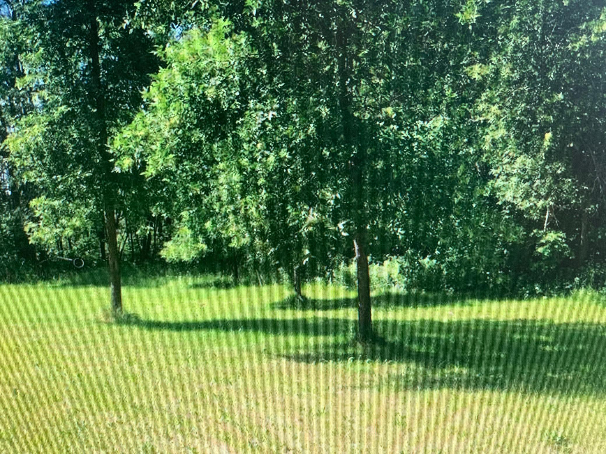 Tbd 388th Property Photo 27