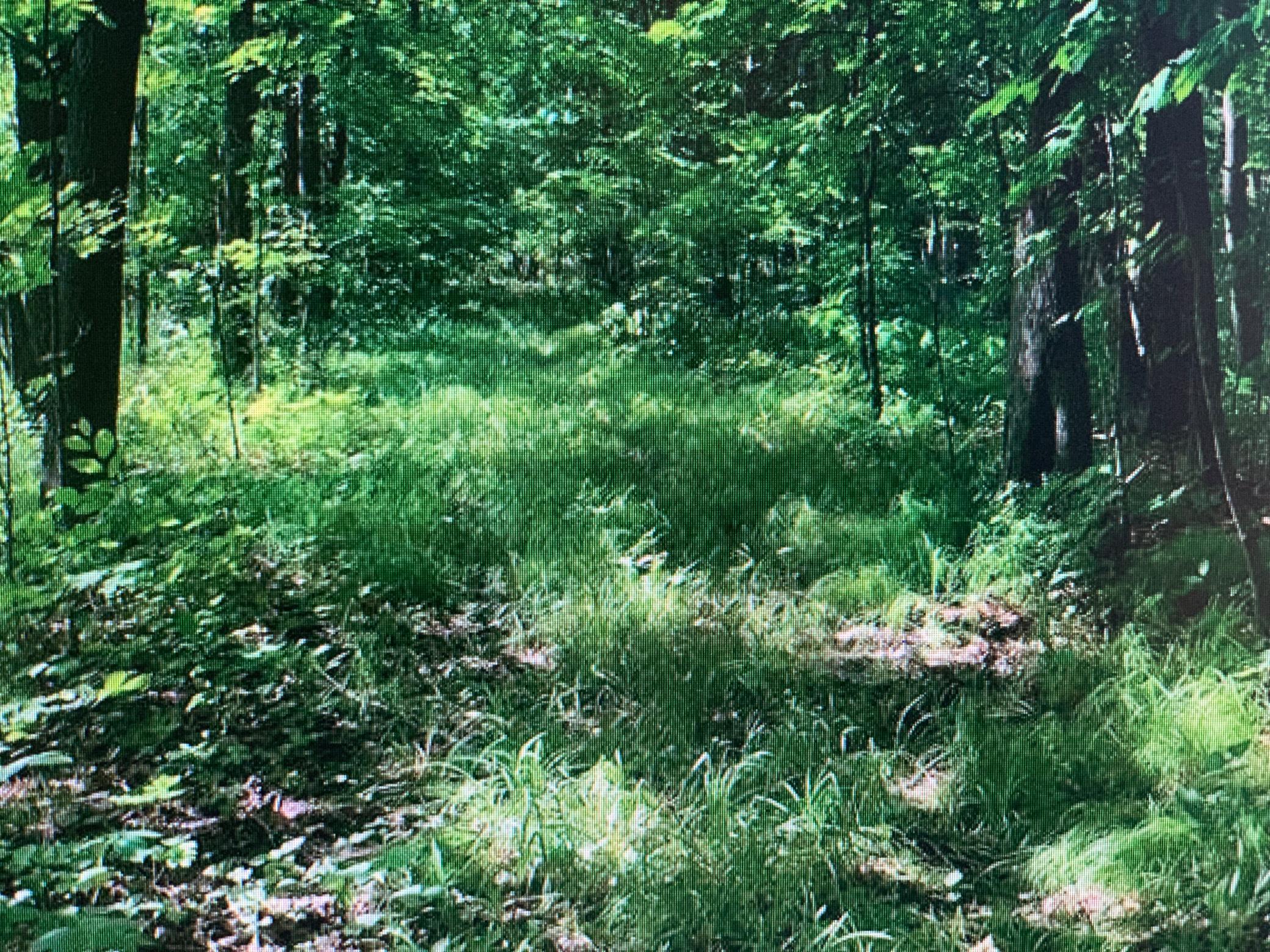 Tbd 388th Property Photo 29