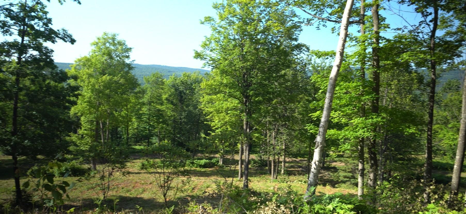 83xxx - Lot 12 Ashwabay Road Property Photo 1