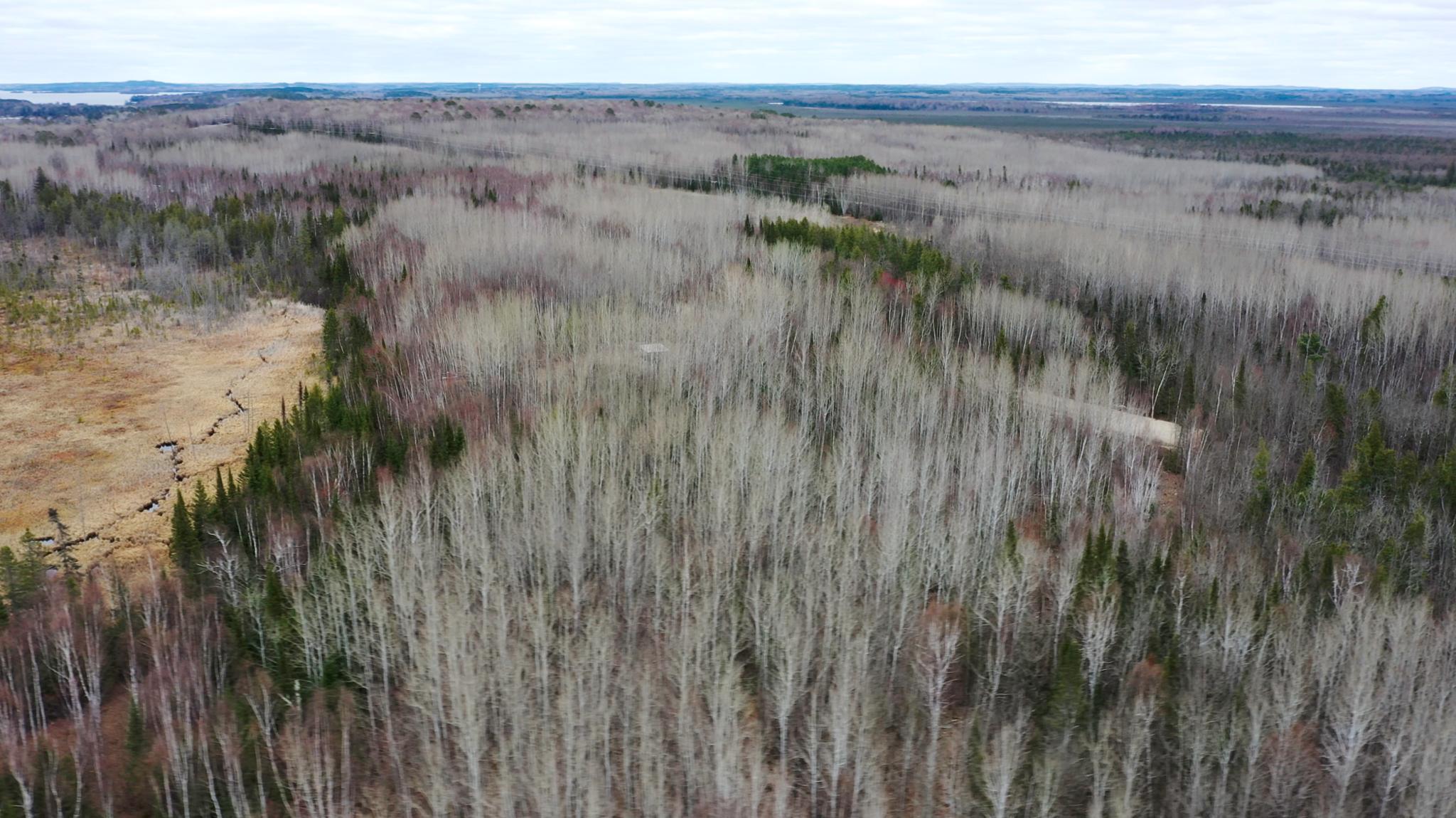 Tbd Parcel 15 Hwy 115 Property Photo 2