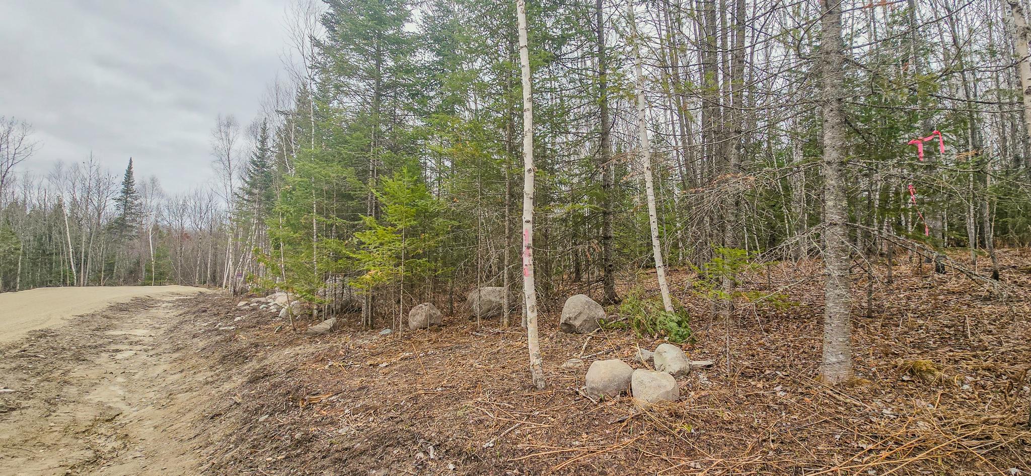 Tbd Parcel 15 Hwy 115 Property Photo 5