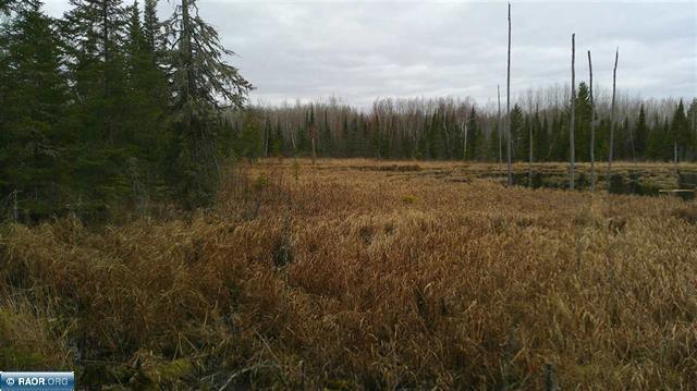 Tbd Parcel 15 Hwy 115 Property Photo 7
