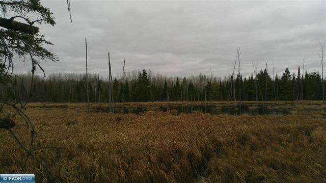 Tbd Parcel 15 Hwy 115 Property Photo 8