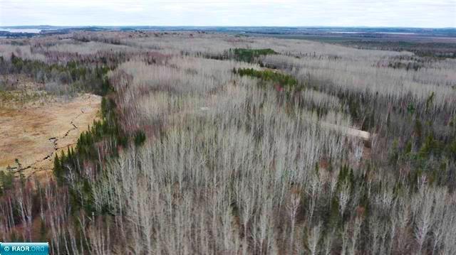 Tbd Parcel 15 Hwy 115 Property Photo 10