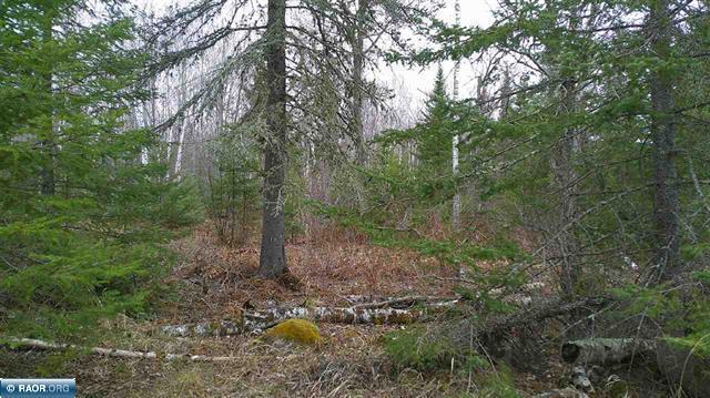 Tbd Parcel 15 Hwy 115 Property Photo 13