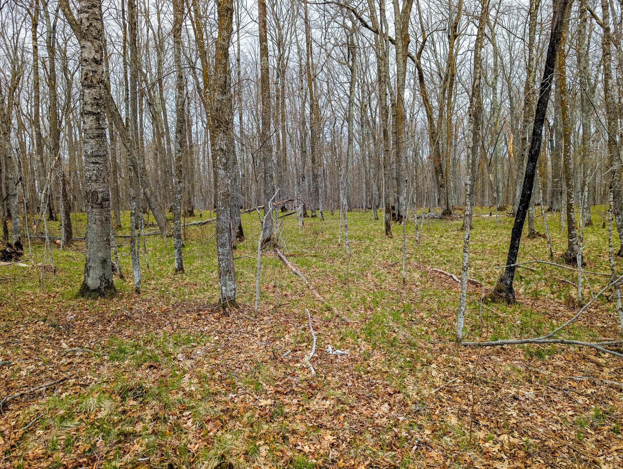 Tbd 235th Place Property Photo 2