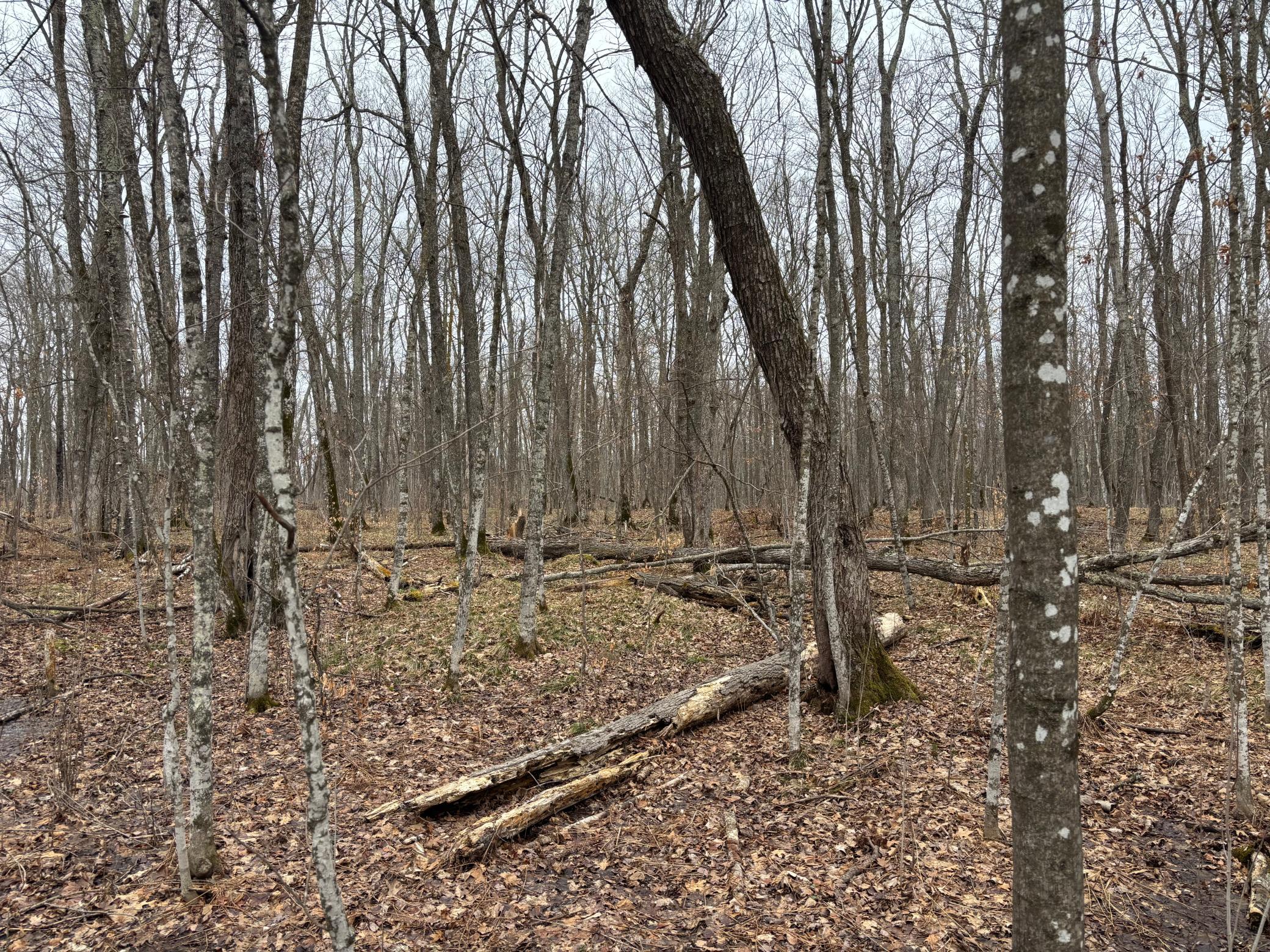 Tbd 235th Place Property Photo 3