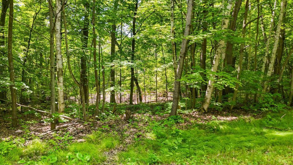 Lots B & C 389th Ave. Property Photo 8