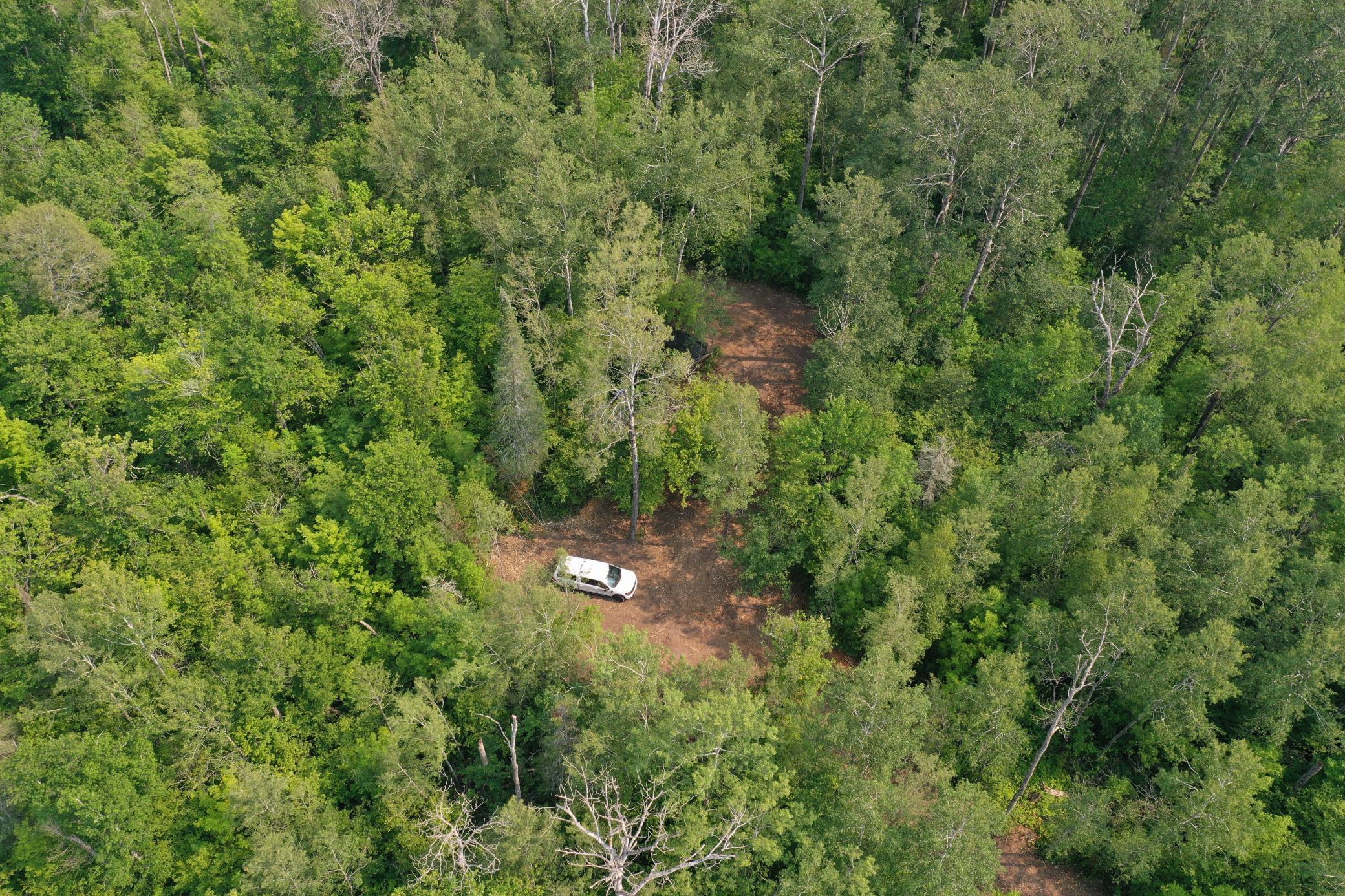 3854 Rasmussen Rd. Property Photo 6