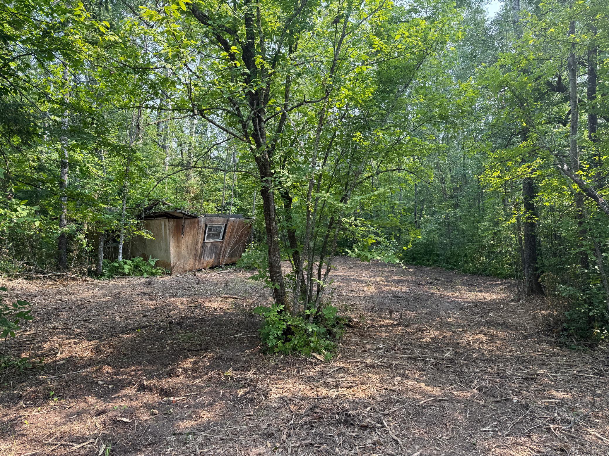 3854 Rasmussen Rd. Property Photo 15