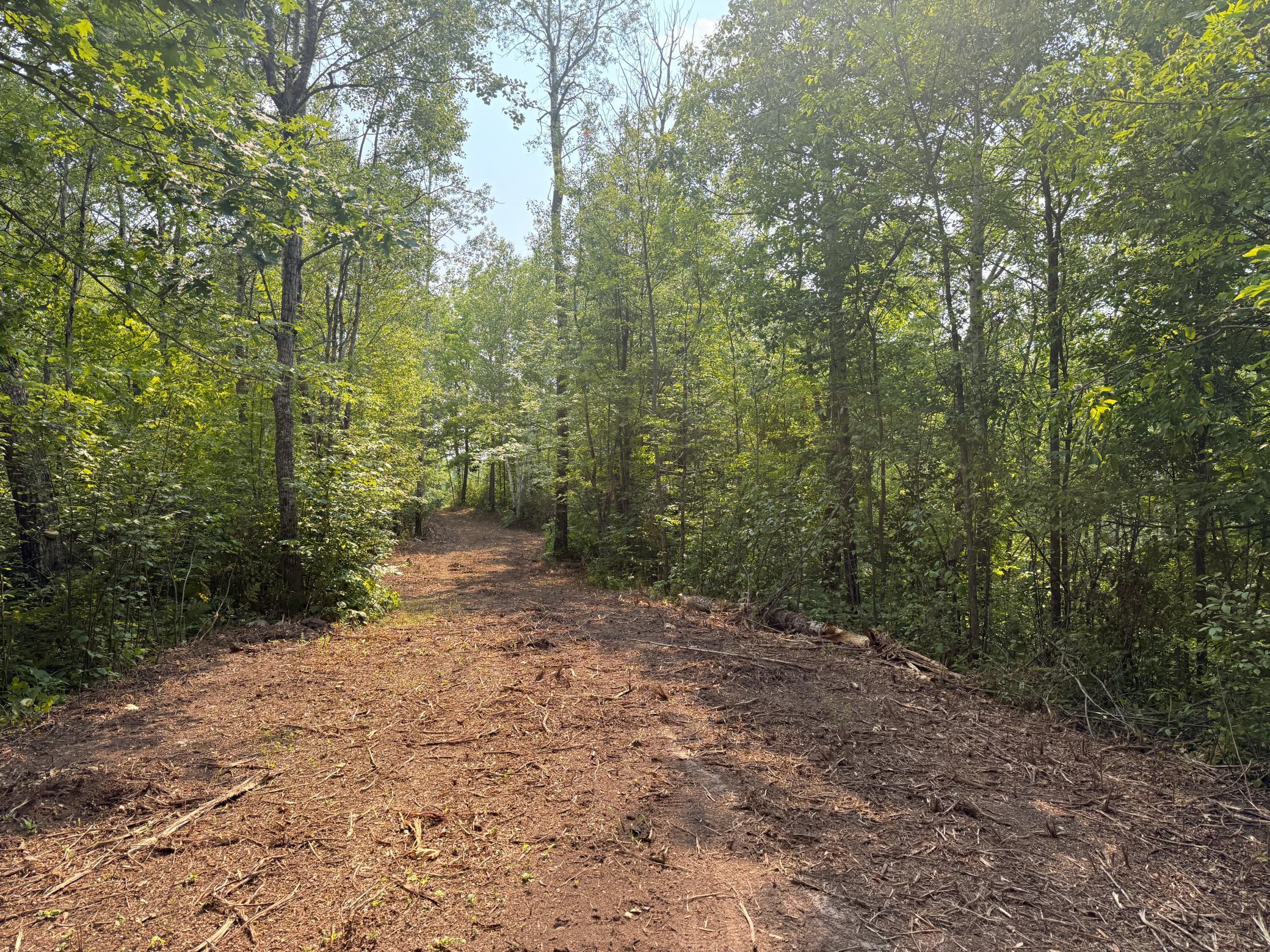 3854 Rasmussen Rd. Property Photo 18