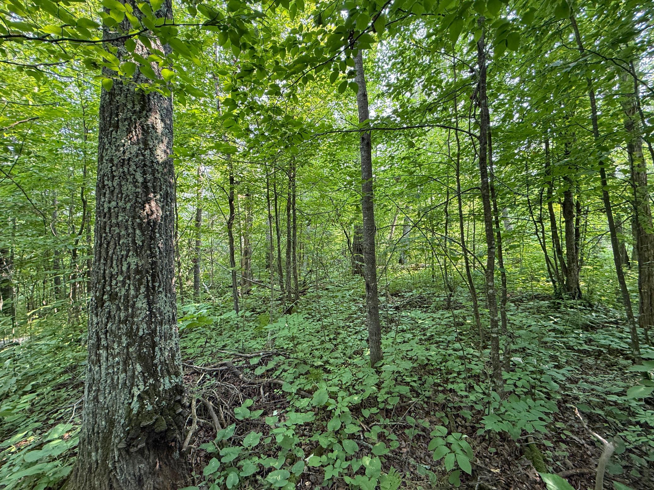 3854 Rasmussen Rd. Property Photo 25