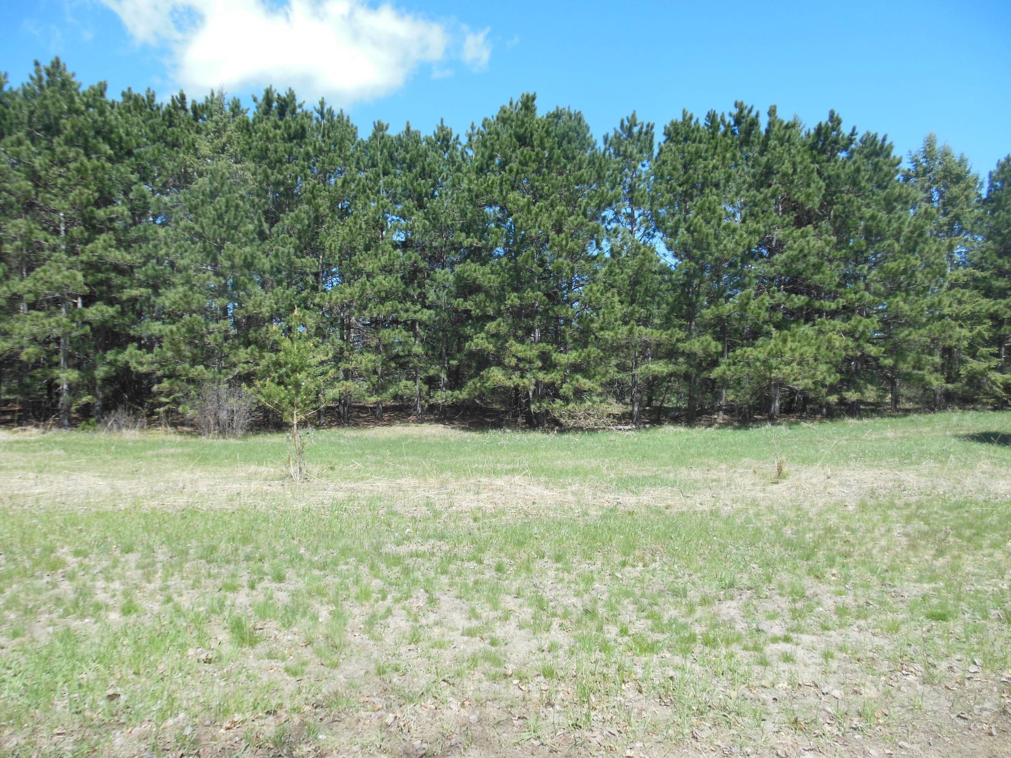 Tbd Red Sequia Drive N Property Photo 3