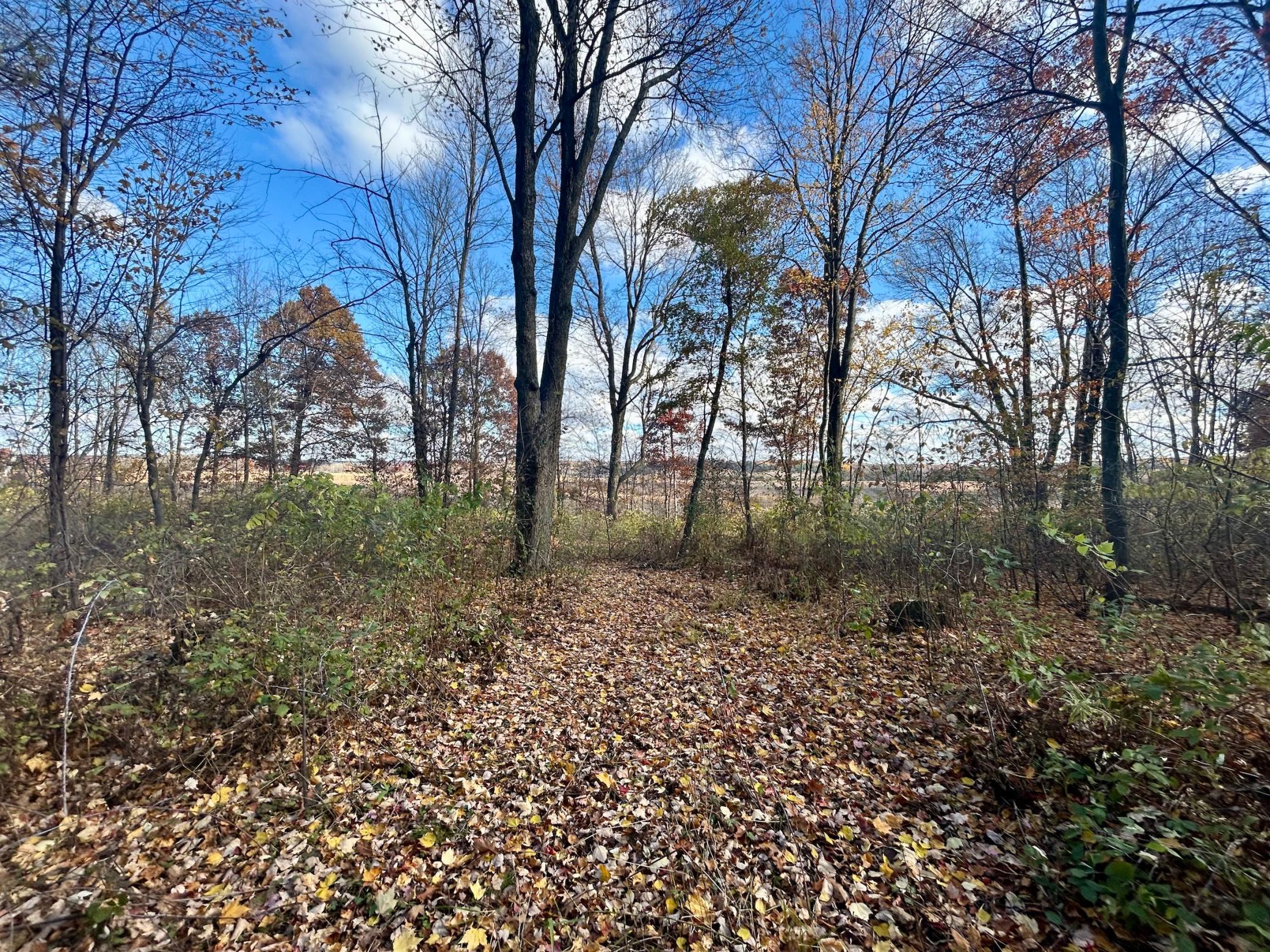 Tbd 125th Street Property Photo 12