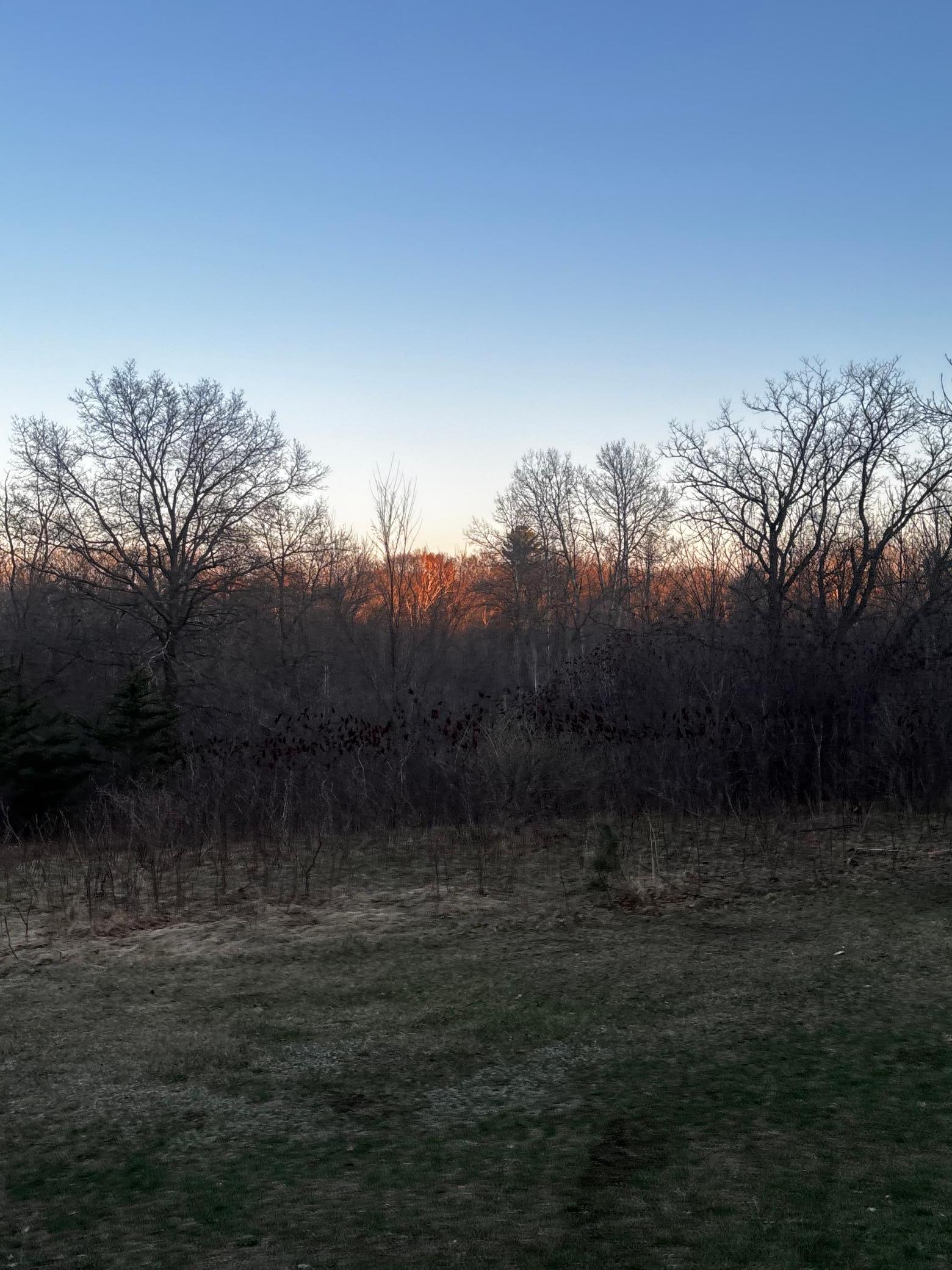 2115 S Brookview Drive Property Photo 1