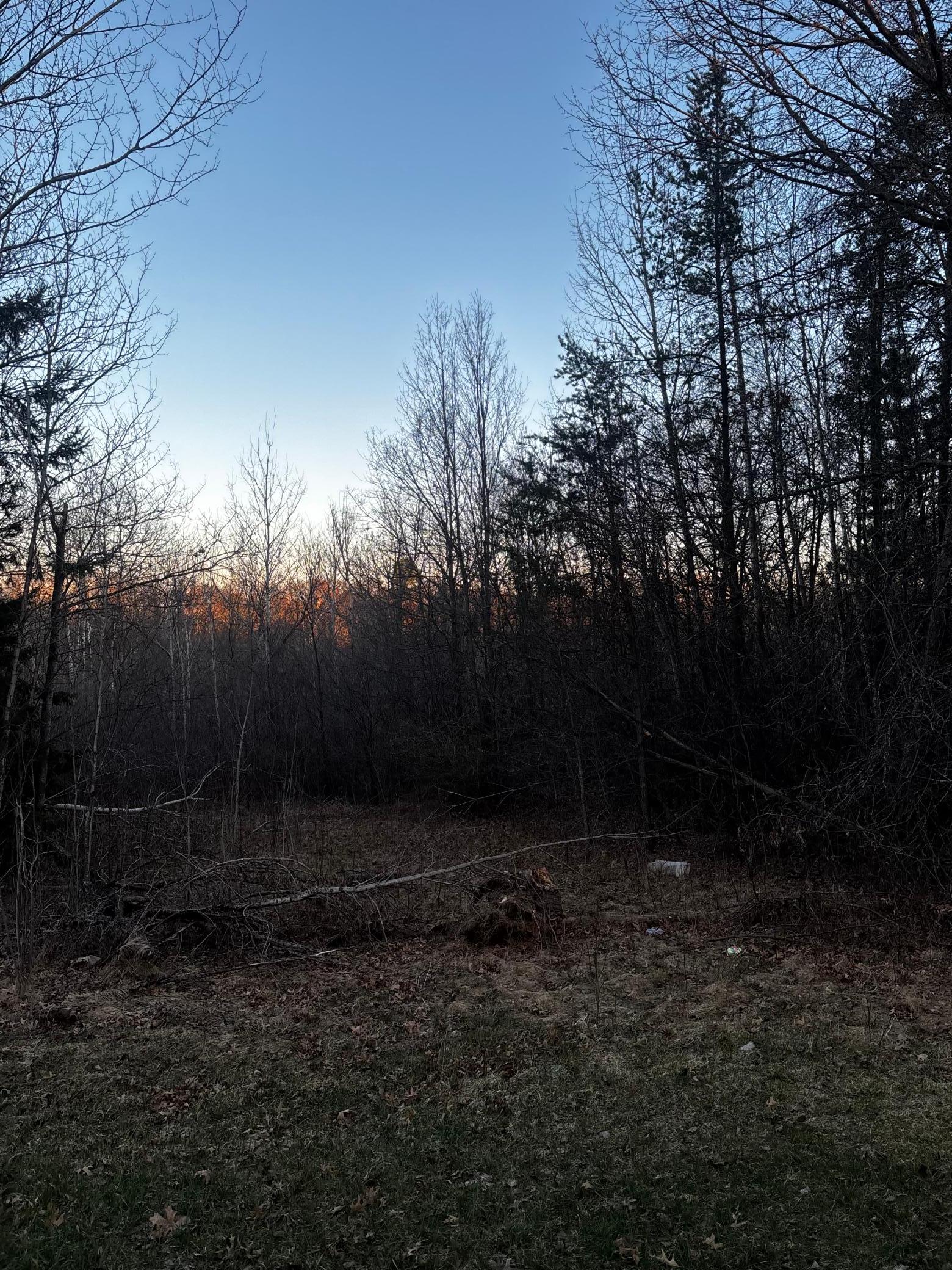 2115 S Brookview Drive Property Photo 3