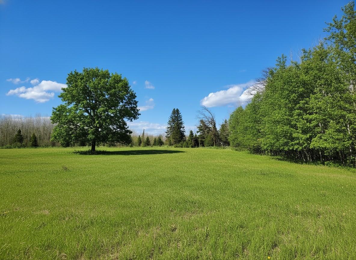Tbd Wildflower Lane Ne Property Photo 1