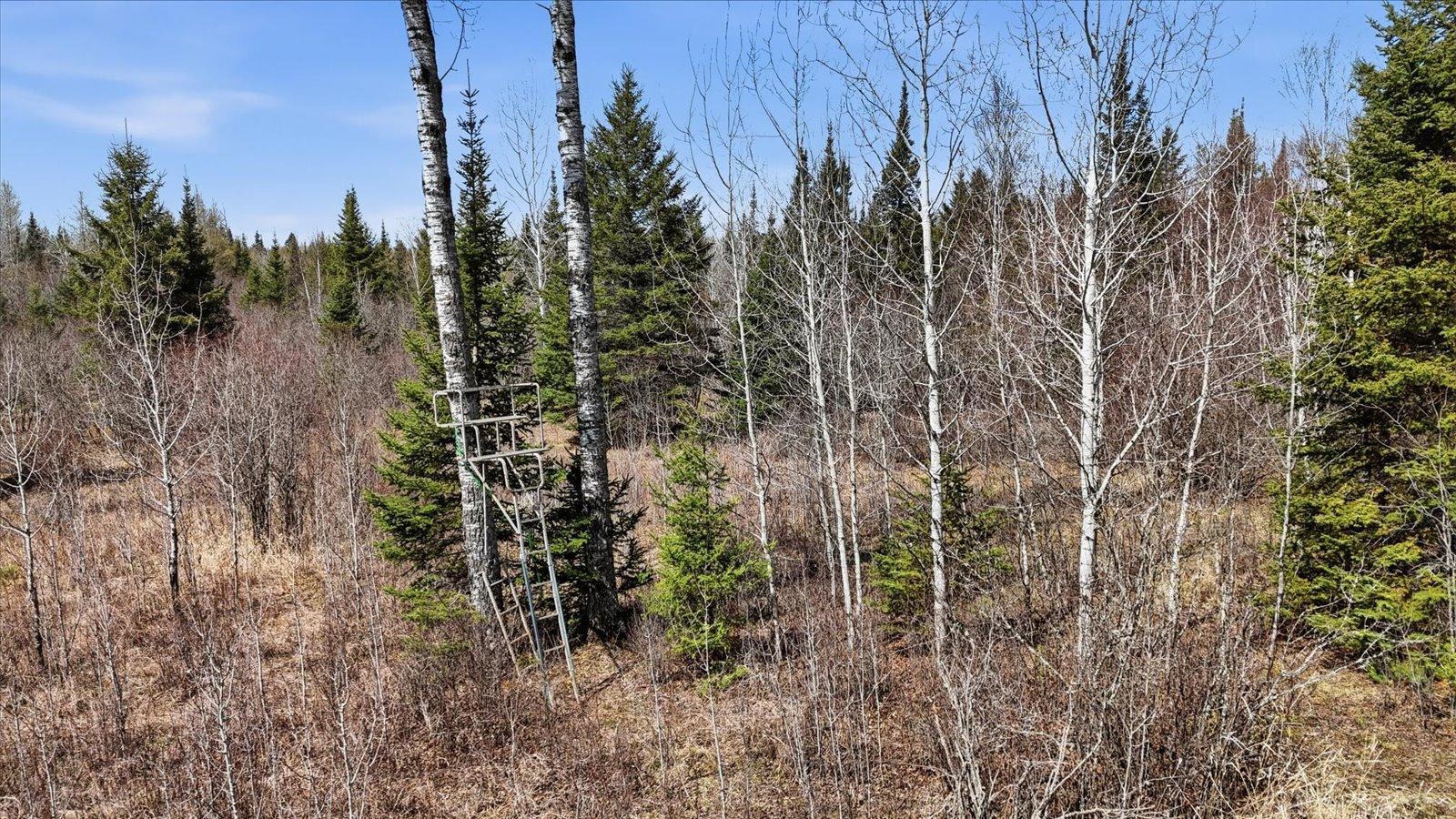 8849 Hwy 25 Property Photo 17
