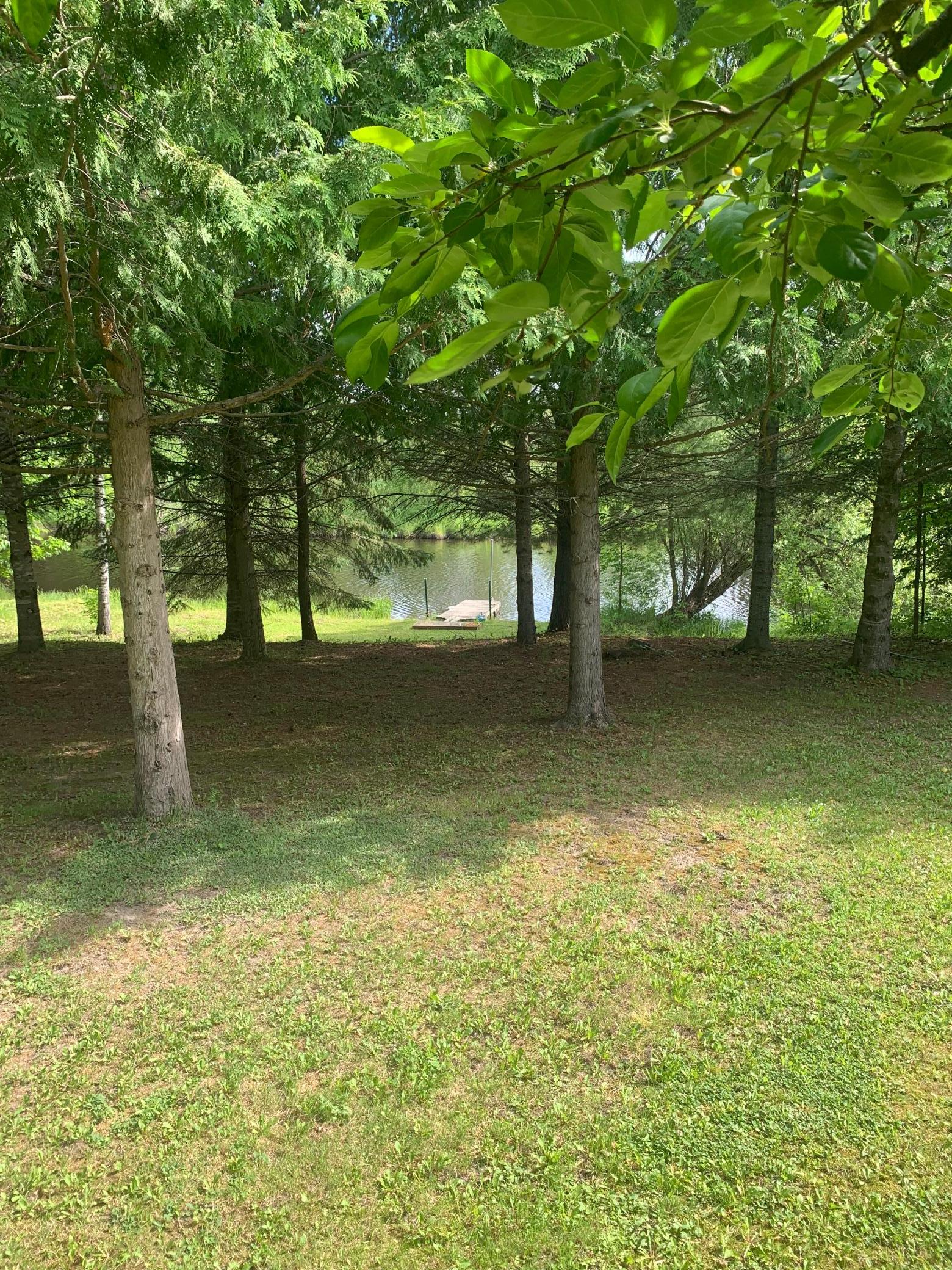 3630 County Road 142 Property Photo 50