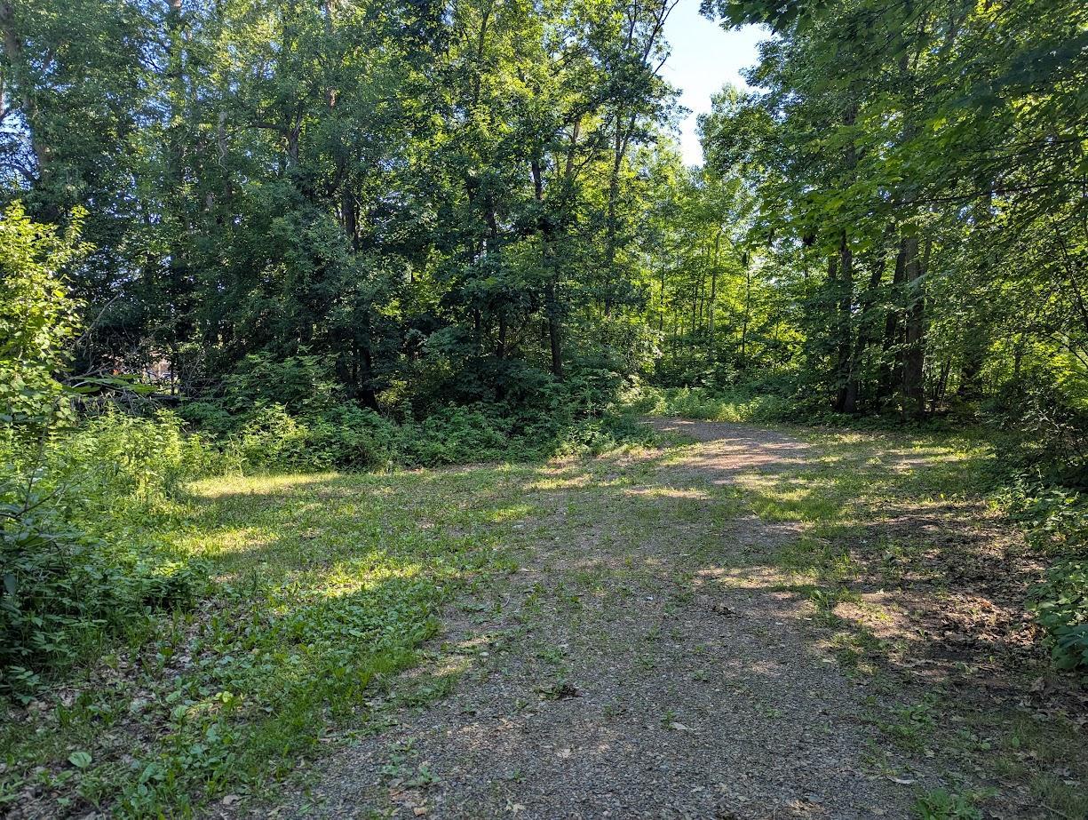 51256 207th Place Property Photo 5