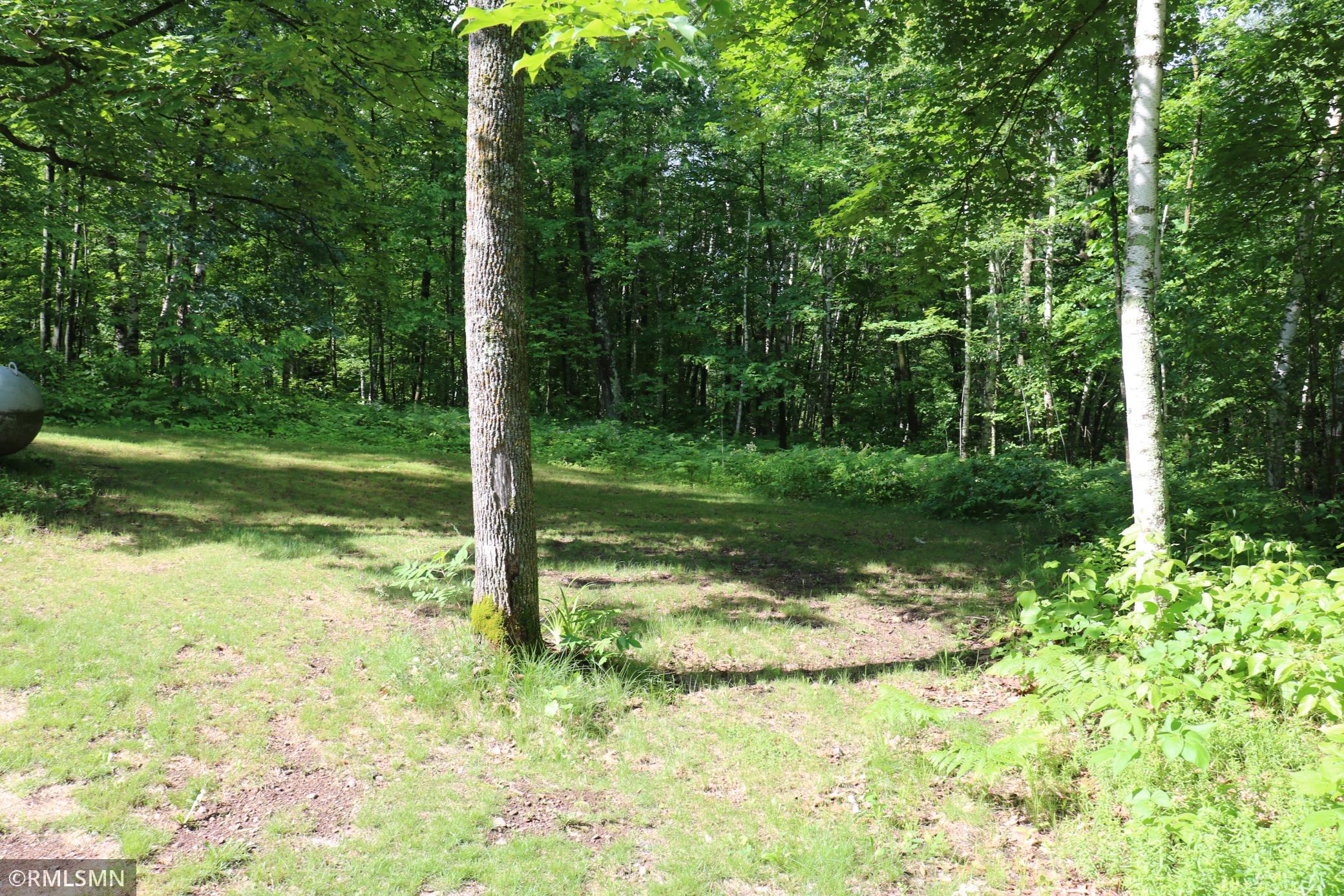 30205 Birch Drive Property Photo 22