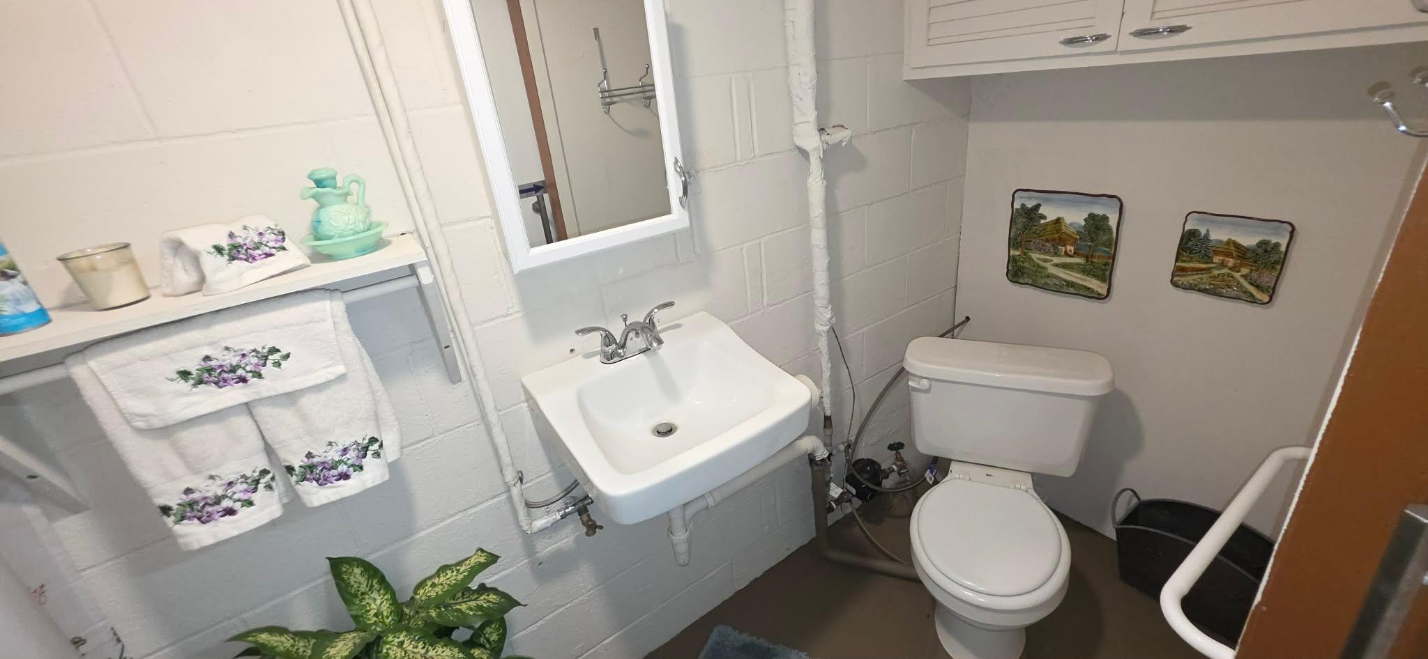 1702 Frank Hall Drive Property Photo 42
