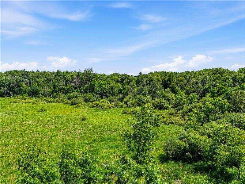 Tbd Ivy Rd. Property Photo 5