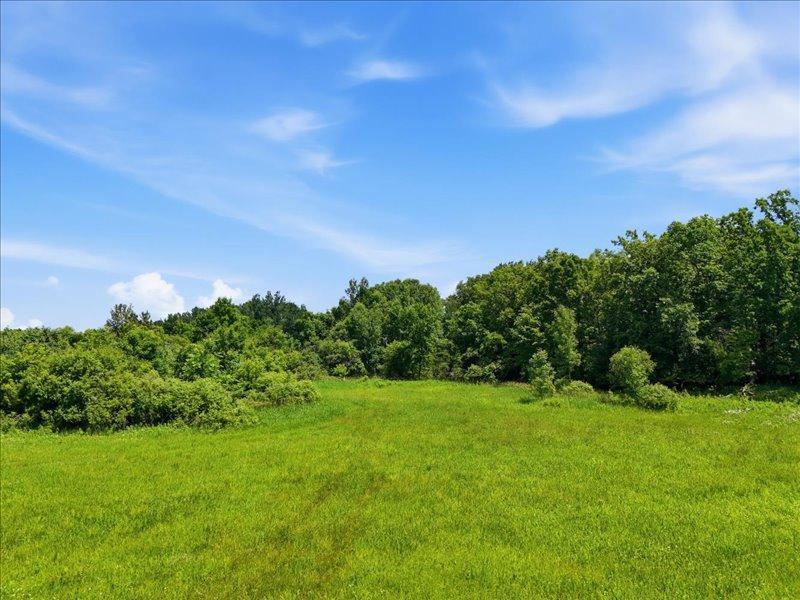 Tbd Ivy Rd. Property Photo 6