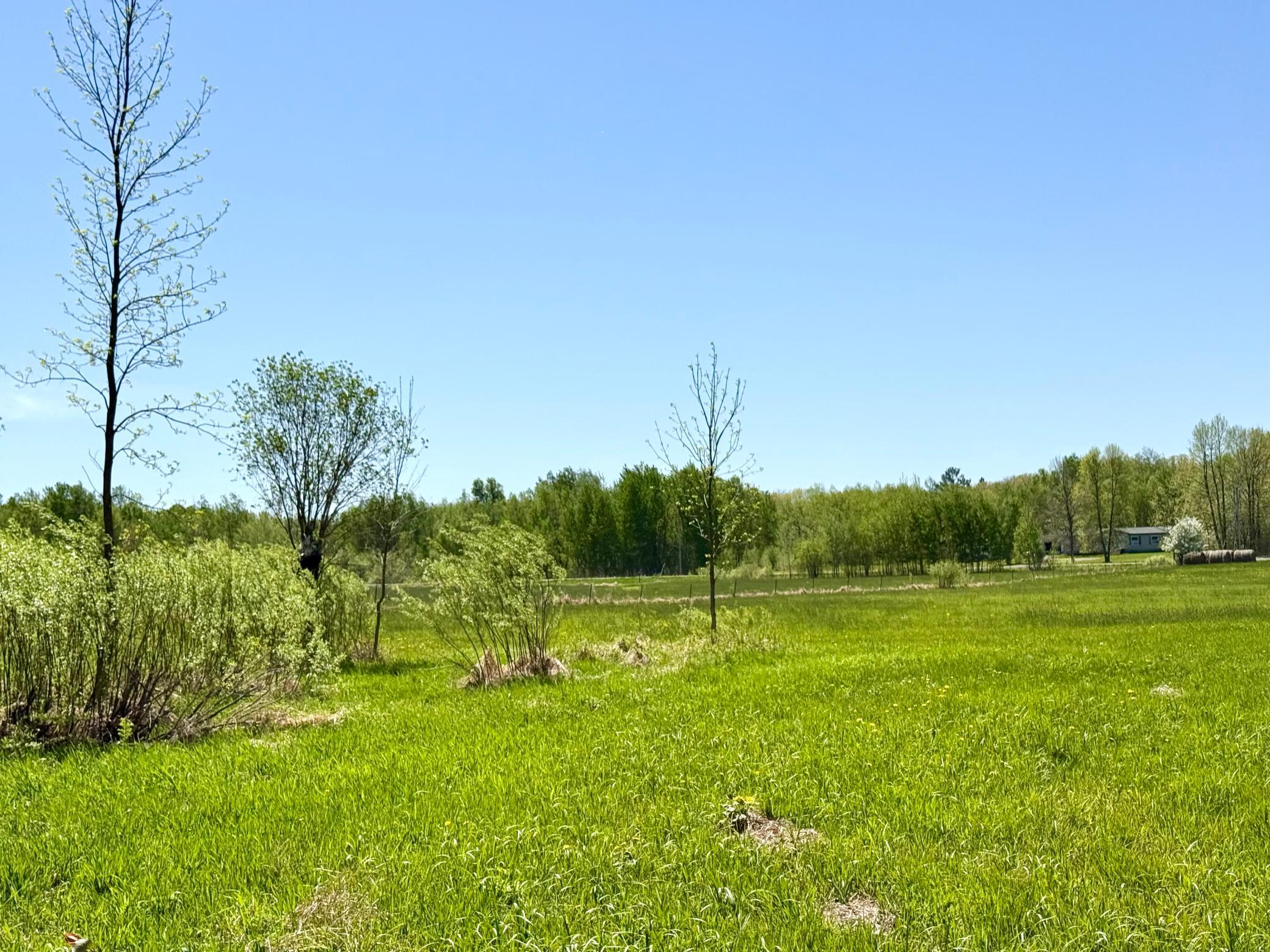 Tbd Ivy Rd. Property Photo 9