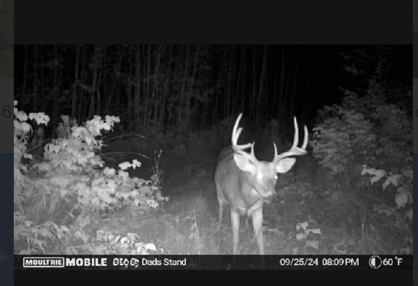 Tbd Us Hwy 2 Property Photo 1