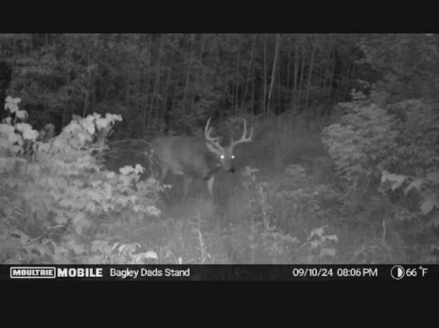 Tbd Us Hwy 2 Property Photo 15