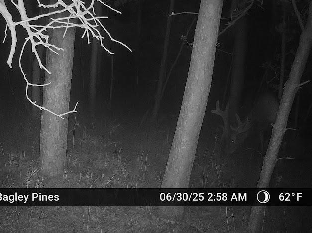 Tbd Us Hwy 2 Property Photo 17