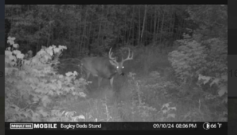 Tbd Us Hwy 2 Property Photo 20