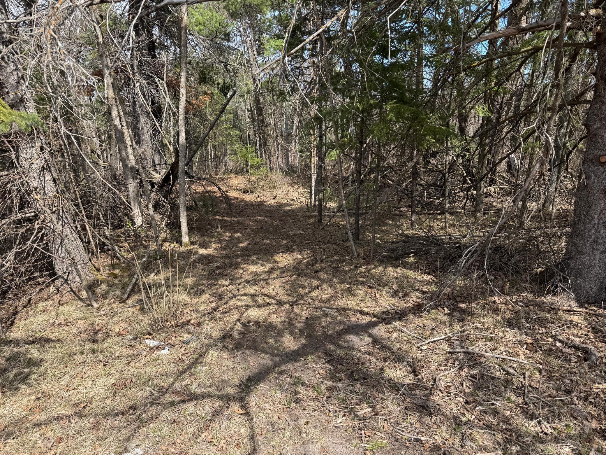 Tbd Us Hwy 2 Property Photo 30