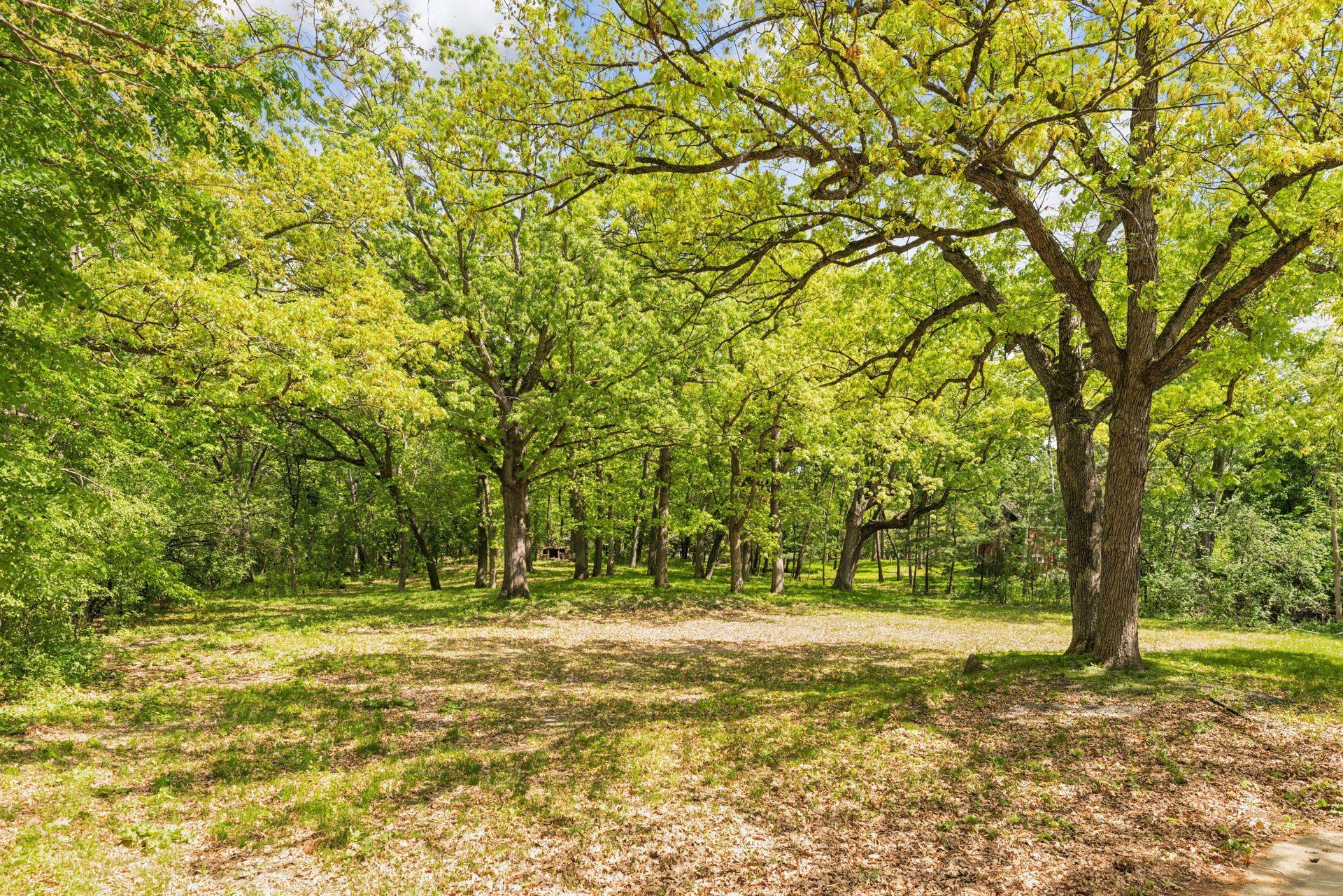 5125 Schaefer Rd Property Photo 21