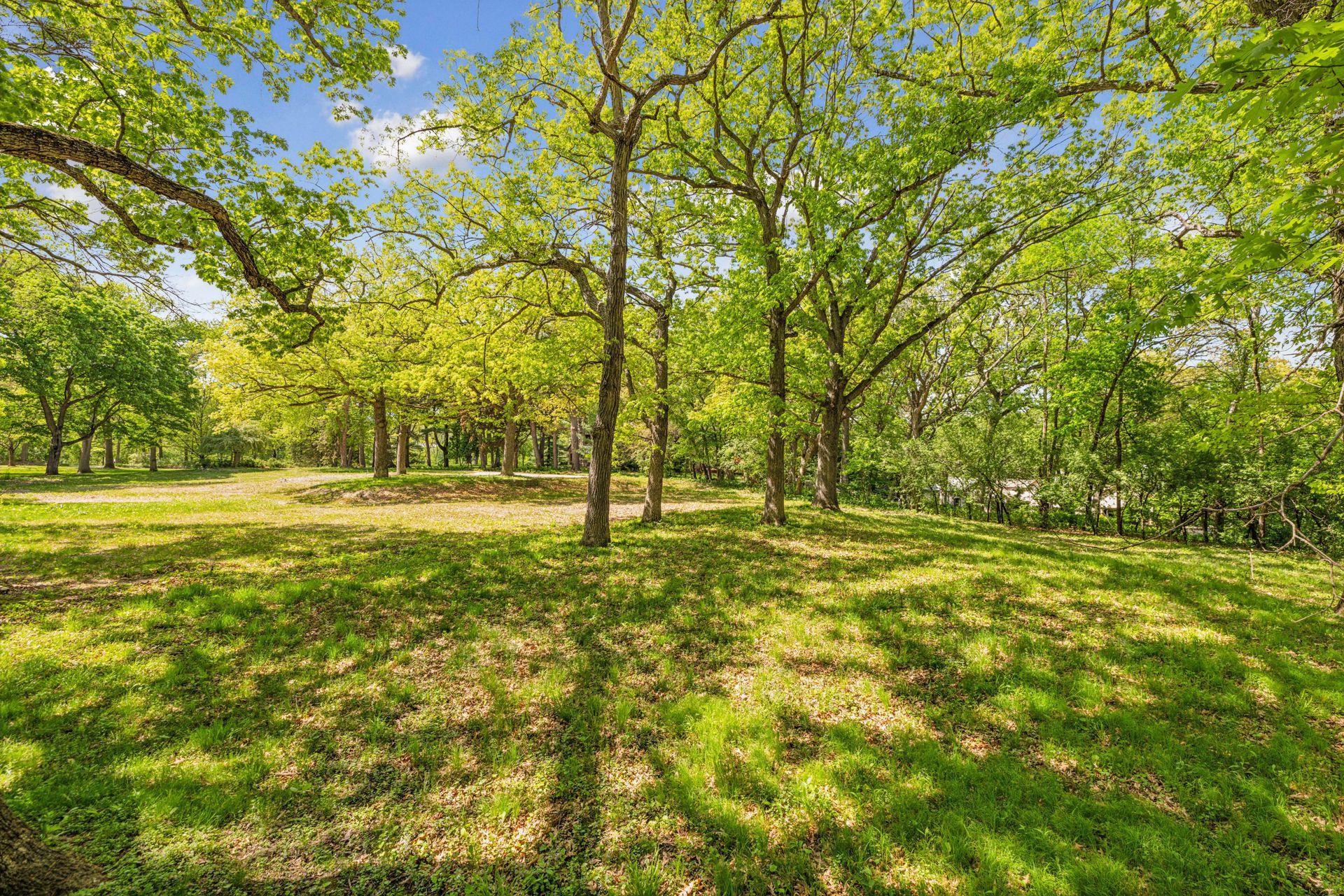 5125 Schaefer Rd Property Photo 23