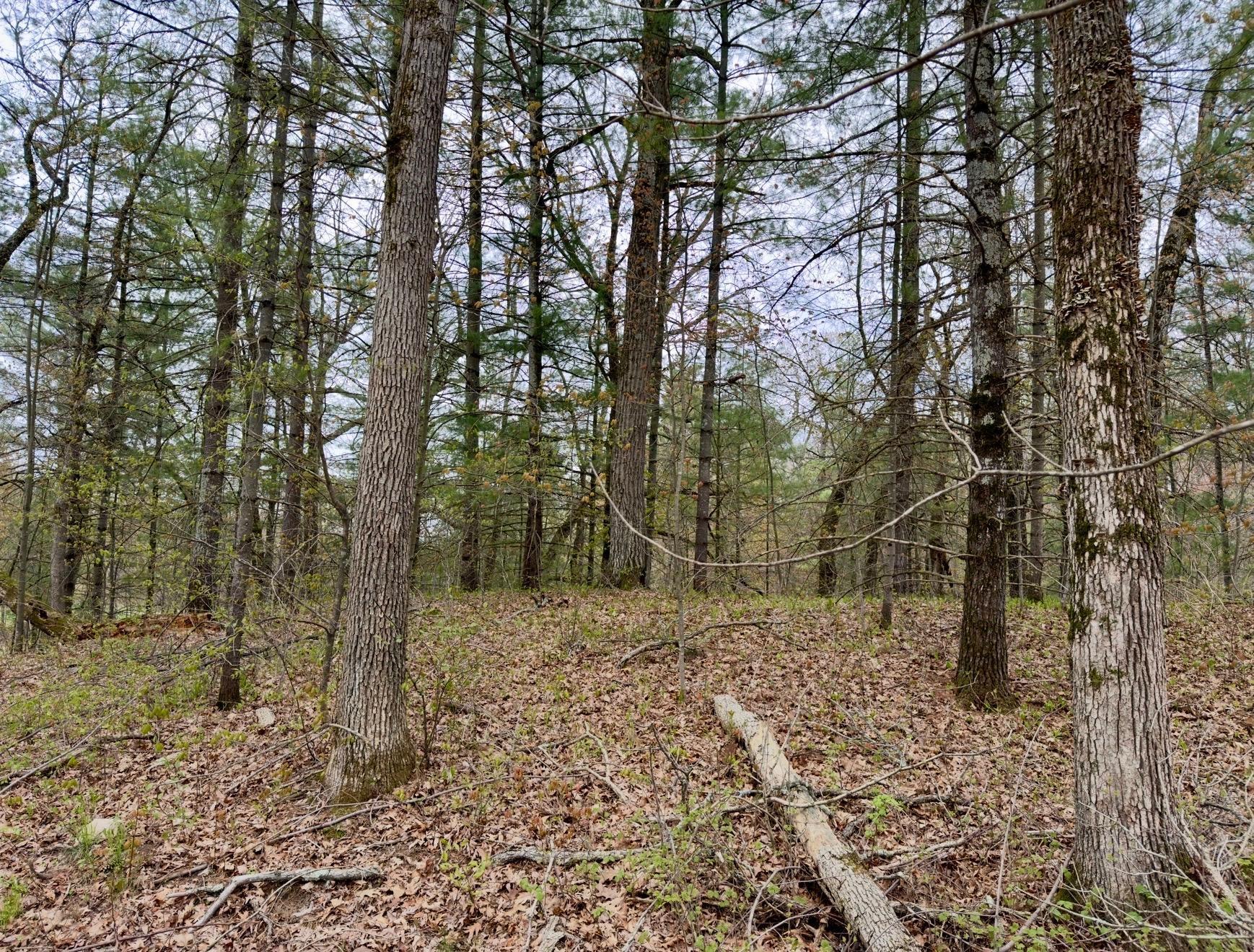 14405 255th Avenue Property Photo 6
