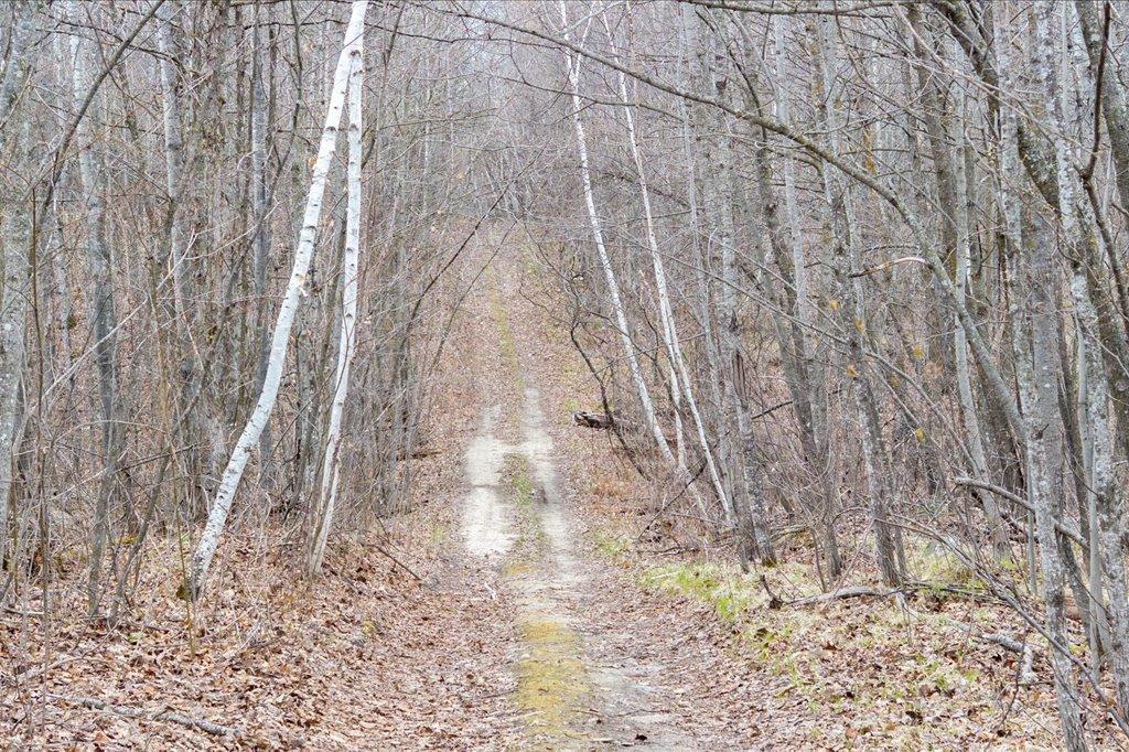 Tbd Kestrel Trail Nw Property Photo 5