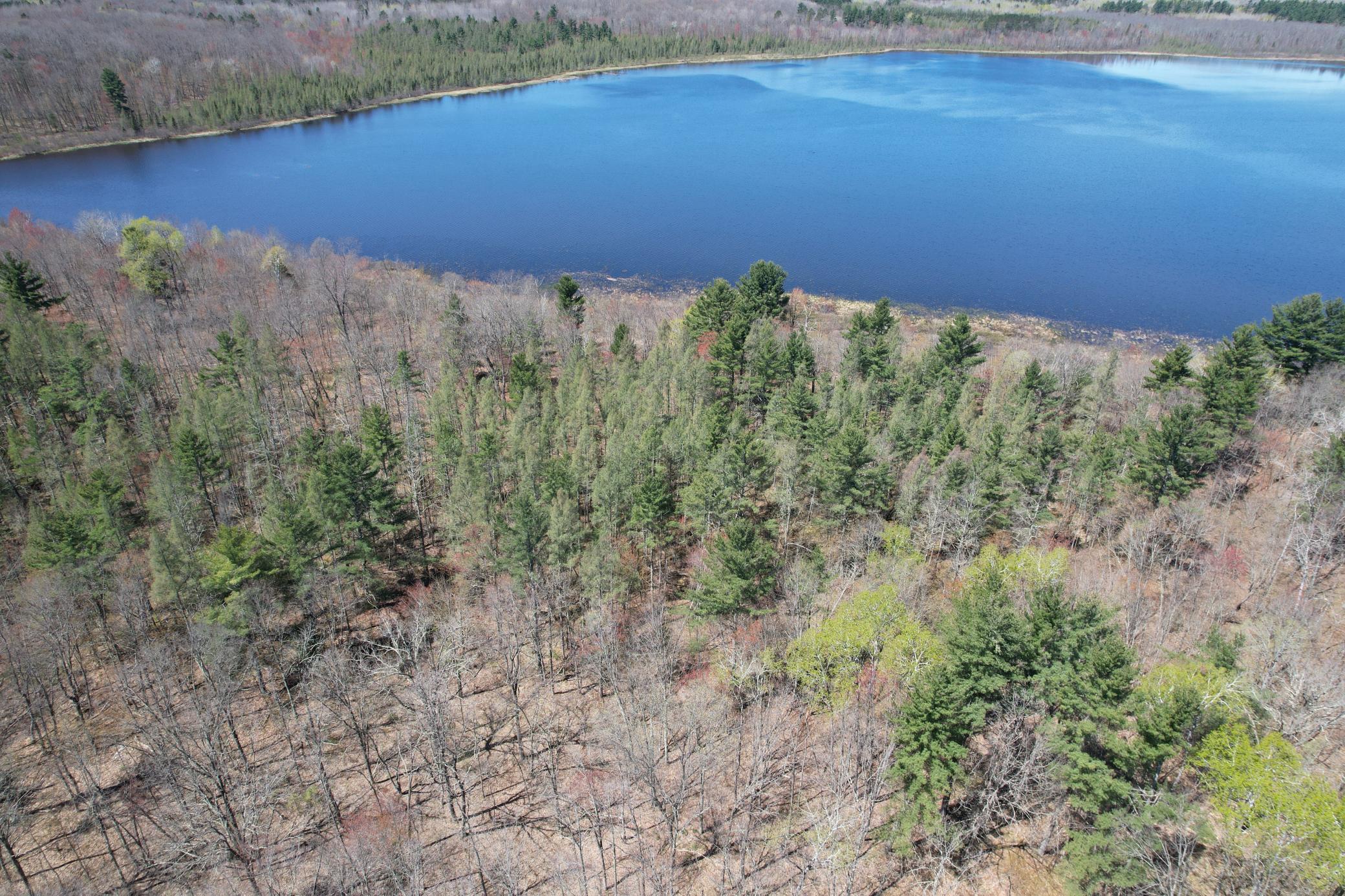 N10439 Tranus Lake Road Property Photo 45