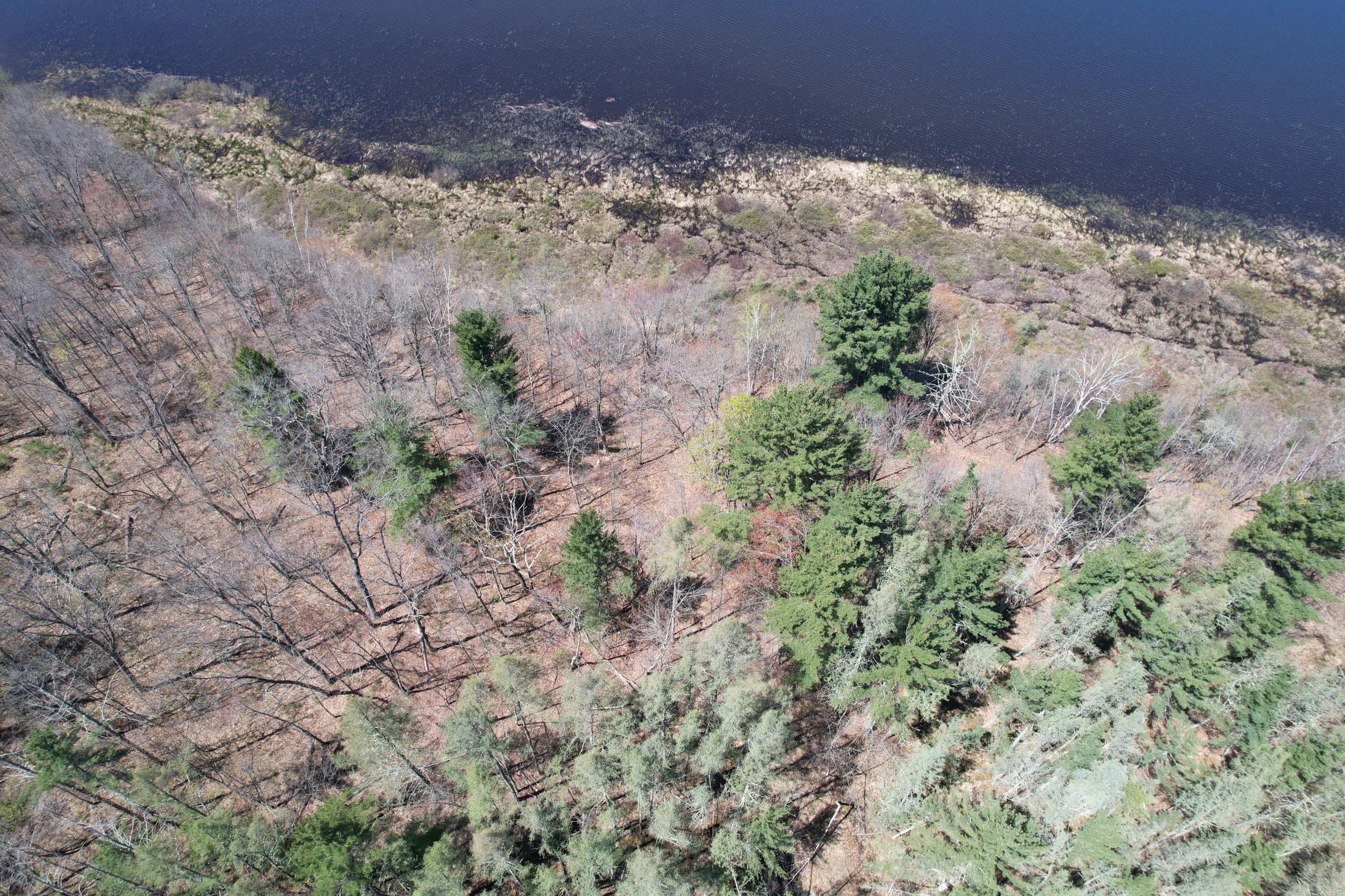 N10439 Tranus Lake Road Property Photo 46