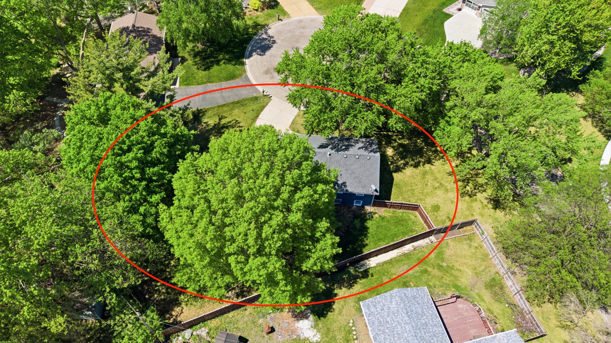 311 Eagle Ridge Circle Property Photo 8