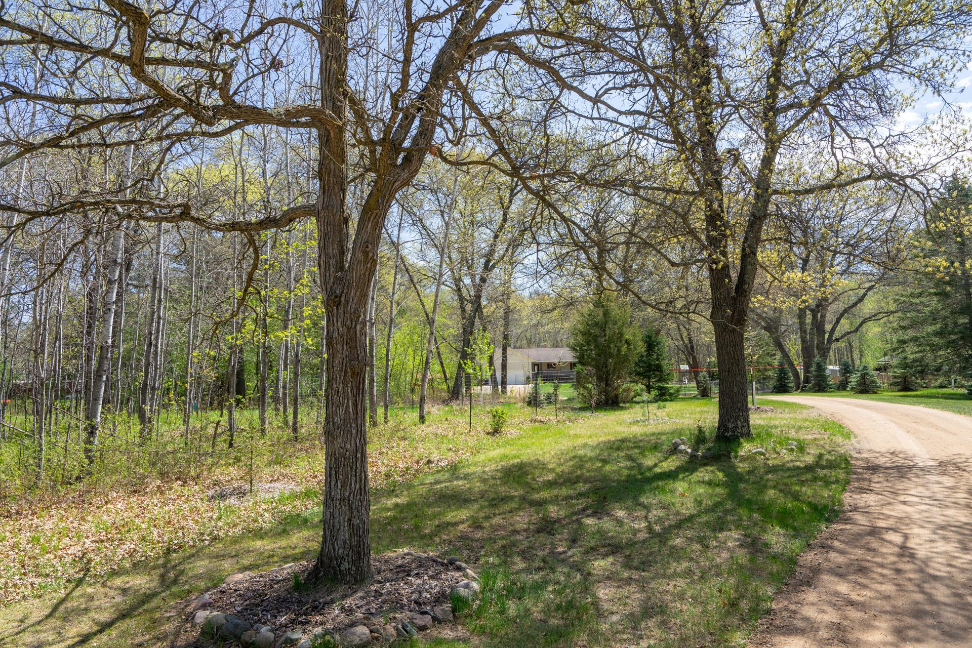 8485 County Road 123 Property Photo 65
