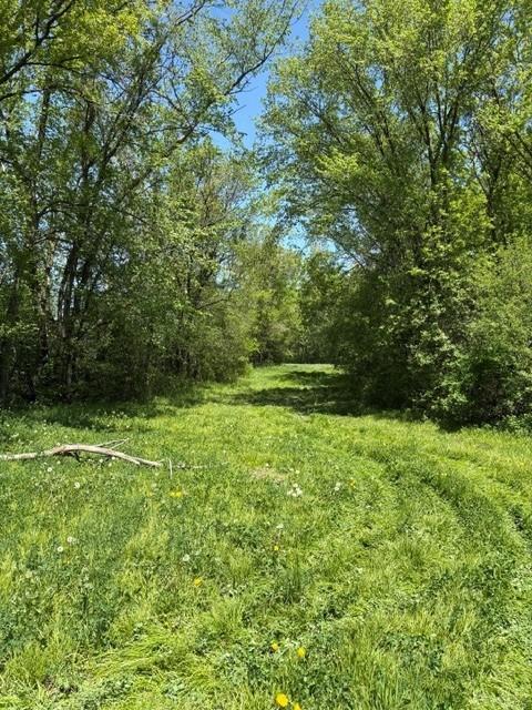 Tbd Highway 55 Property Photo 3