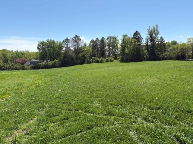 Tbd Highway 55 Property Photo 6