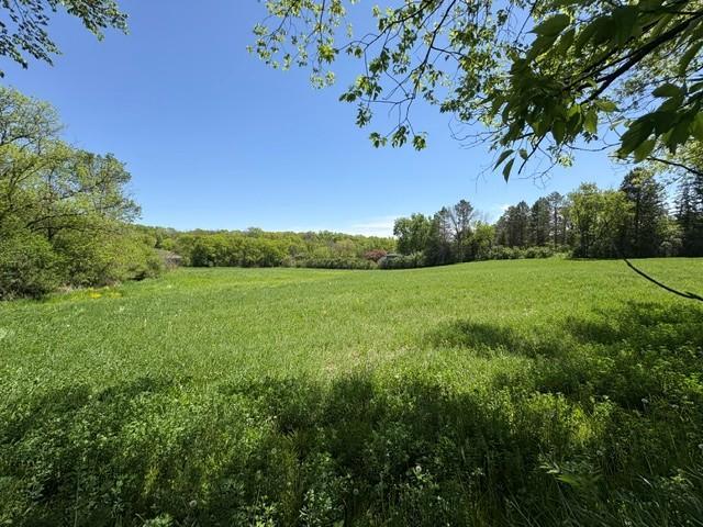 Tbd Highway 55 Property Photo 10