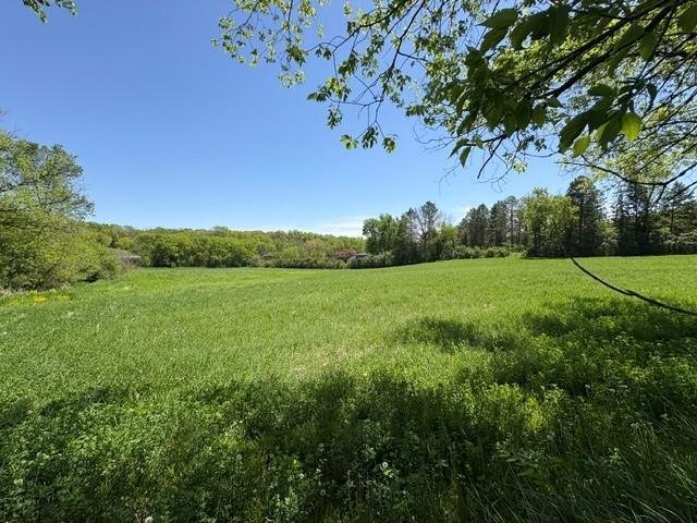 Tbd Highway 55 Property Photo 11