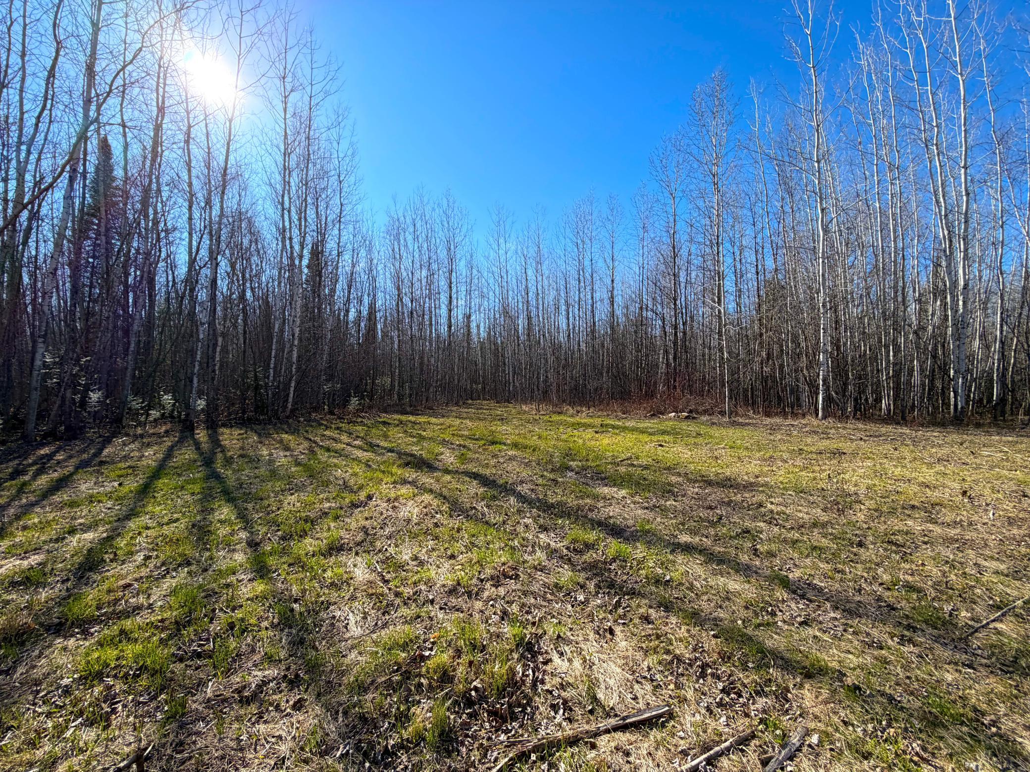Lot C County Road 79 Property Photo 4